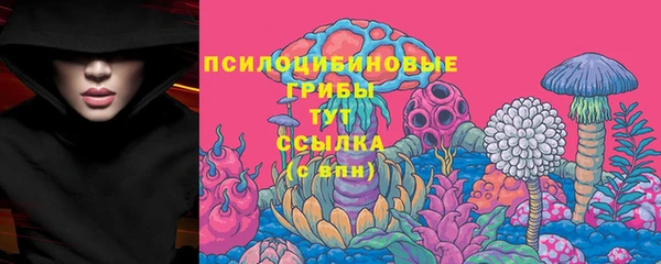 PSILOCYBIN Вязьма